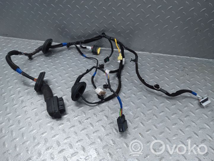 Hyundai i30 Faisceau de câblage de porte avant 91610G4350
