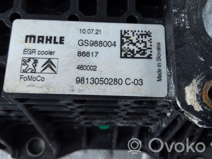 Toyota ProAce City EGR-venttiili/lauhdutin 9813050280