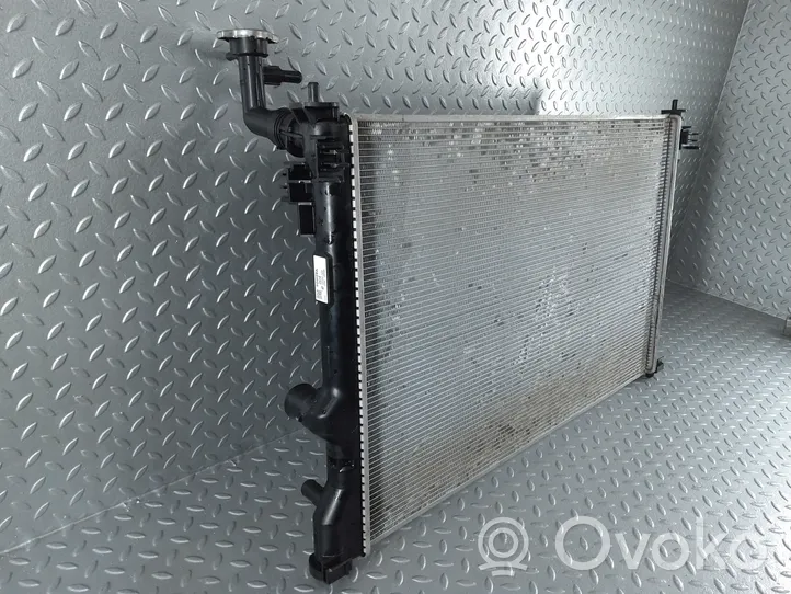 Toyota RAV 4 (XA50) Radiateur de refroidissement 1220500400