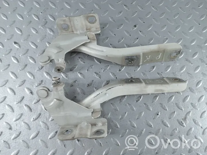 KIA Optima Cerniere del vano motore/cofano 791102T000