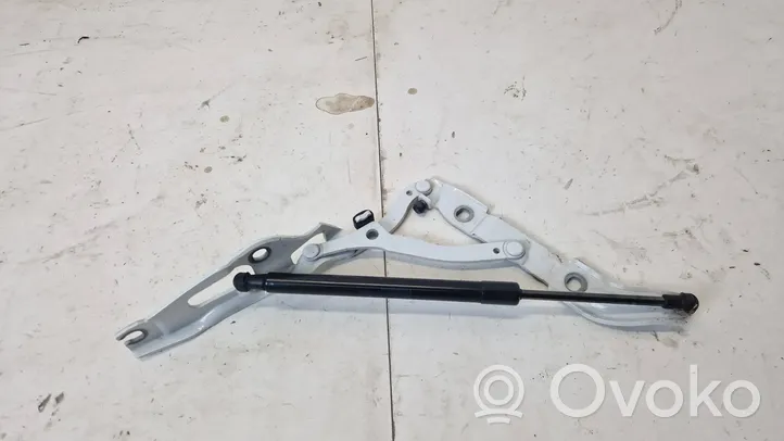 BMW 2 F22 F23 Tailgate/trunk/boot hinge 7304557