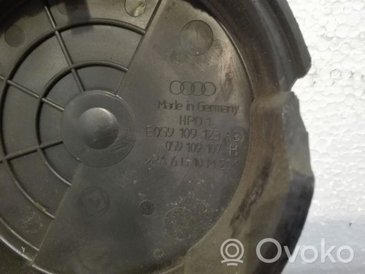 Audi Q7 4L Protezione cinghia di distribuzione (copertura) E059109123AB