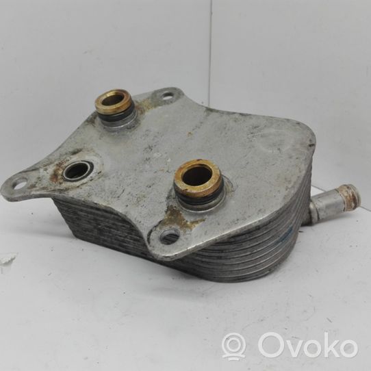 Volkswagen PASSAT B5.5 Radiatore dell’olio del motore 06B117021