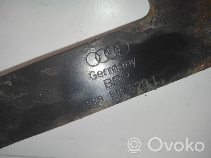 Audi A6 S6 C6 4F Kita kėbulo dalis 038131529L