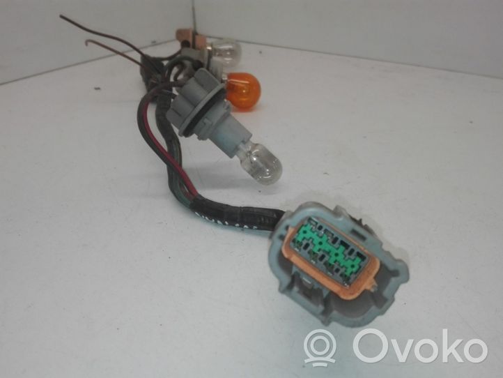 Nissan Navara Element lampy tylnej 