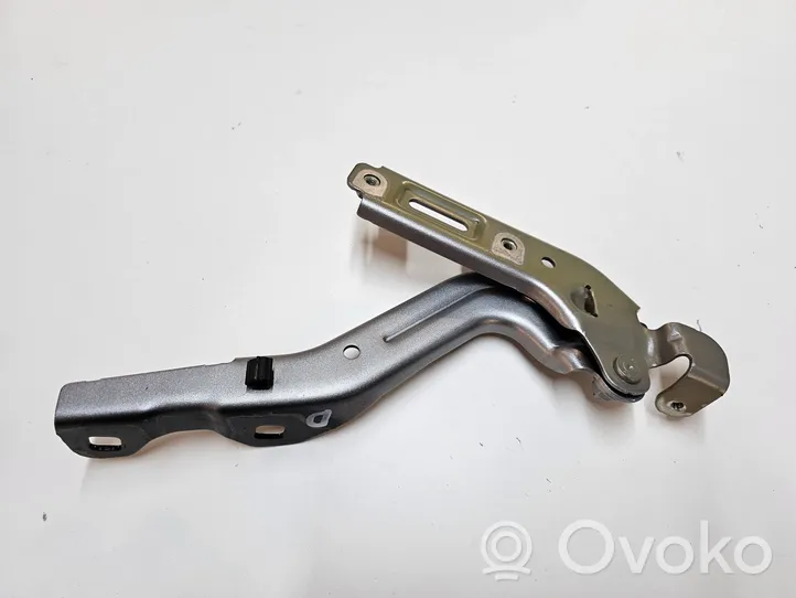 Chrysler Pacifica Engine bonnet/hood hinges VR022