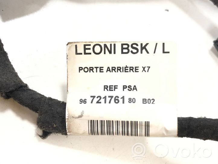 Citroen C5 Faisceau de câblage de porte arrière 9672176180