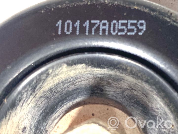 KIA Sorento Poulie renvoi/transmission, courroie 10117A0559