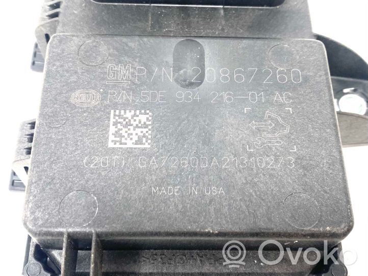 Opel Ampera Sterownik / Moduł pompy wtryskowej 20867260