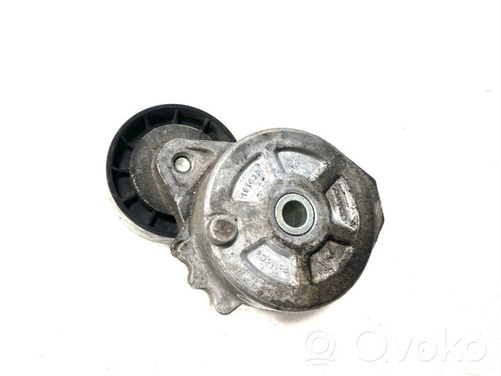 Citroen C-Crosser Tendicinghia generatore/alternatore 16183P