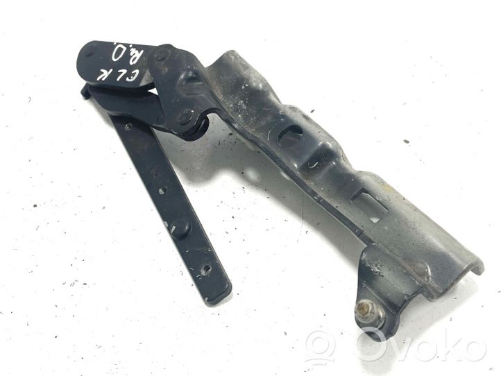 Mercedes-Benz CLK A209 C209 Engine bonnet/hood hinges A2038800428