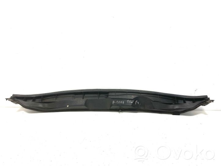 Peugeot 1007 Rivestimento del tergicristallo 9646176080