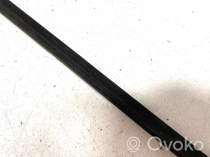 BMW X3 E83 Rivestimento modanatura del vetro della portiera anteriore 