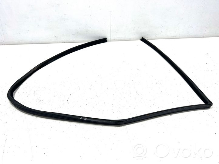 Land Rover Range Rover Sport L320 Guarnizione in gomma finestrino/vetro portiera anteriore L3203CFE000786