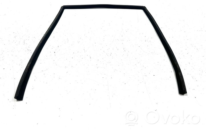 Land Rover Range Rover Sport L320 Rubber seal rear door window/glass CGE000841