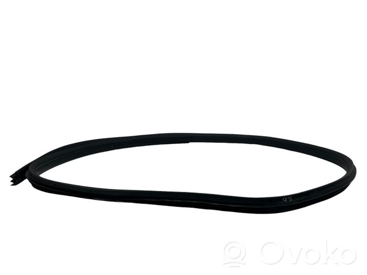 Ford C-MAX II Rear door rubber seal (on body) 