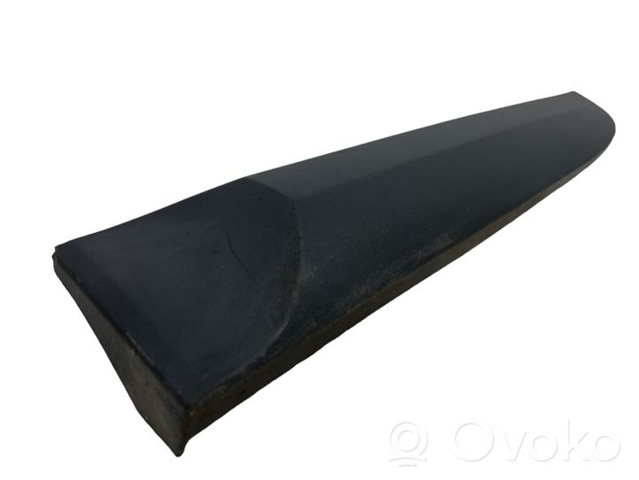 Renault Megane III Rear door trim (molding) 828770001R