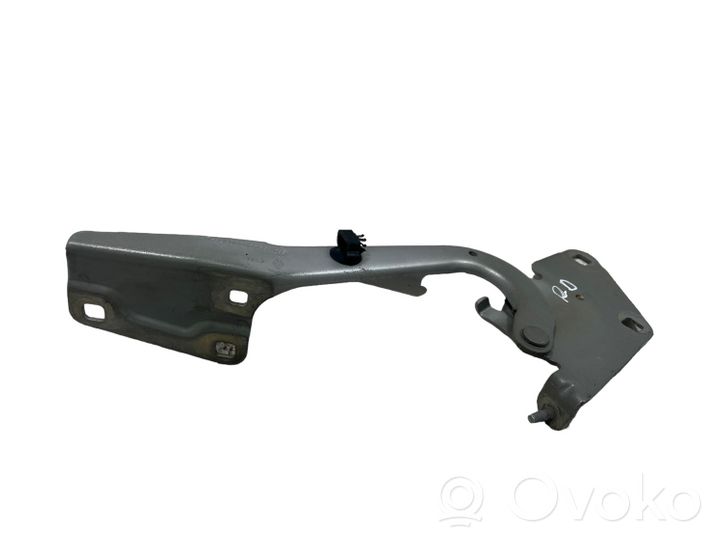 Renault Megane III Engine bonnet/hood hinges 654000003R