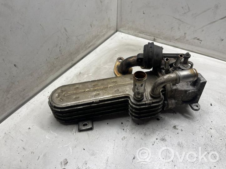 Volkswagen PASSAT B6 EGR aušintuvas 036131513J