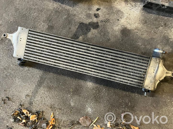 Nissan Qashqai+2 Radiatore intercooler G3062007