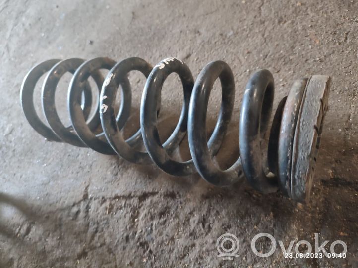 Hyundai Sonata Rear coil spring 