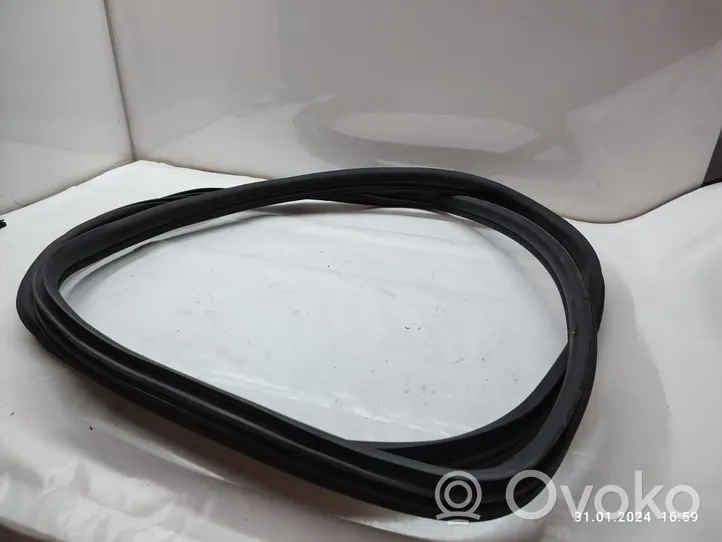 BMW X5 E70 Rear door rubber seal (on body) 