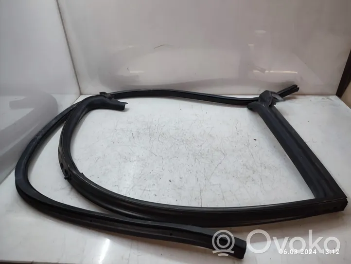 Volkswagen PASSAT CC Rear door rubber seal (on body) 