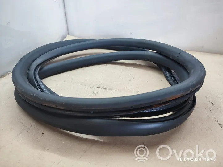 Volkswagen PASSAT B7 Front door rubber seal 3C4867911B