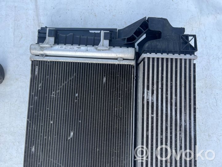 BMW X1 F48 F49 Set del radiatore 22828110