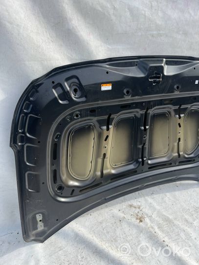 Hyundai Santa Fe Engine bonnet/hood 