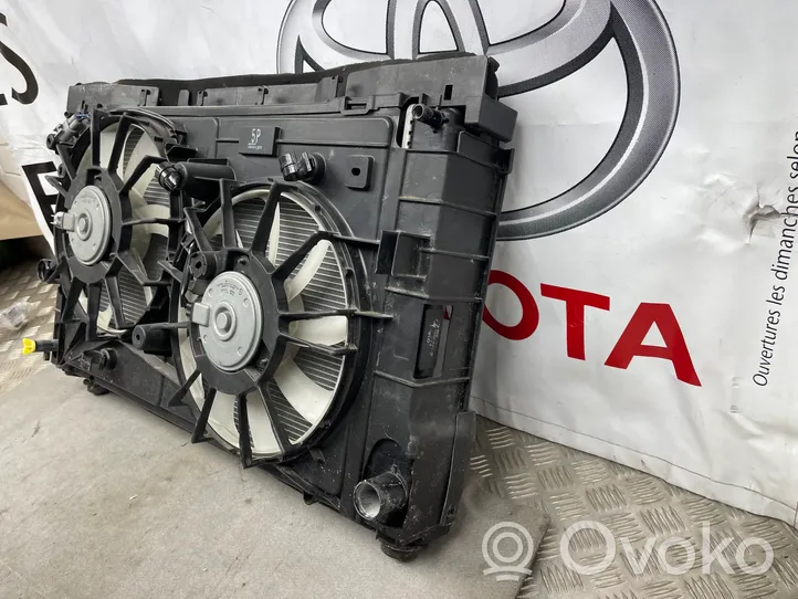 Toyota Prius (XW30) Kit Radiateur 1002221377