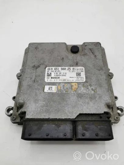 Mercedes-Benz GLK (X204) Sterownik / Moduł ECU A6519002501