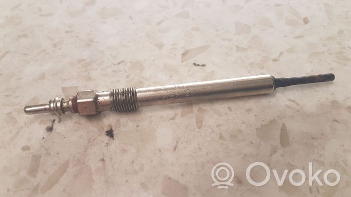 Volkswagen PASSAT B7 Glow plug 0250403007