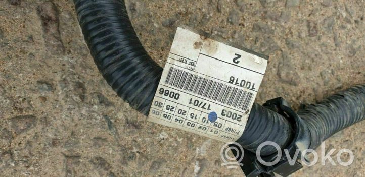 Nissan Primera Faisceau de câblage pour moteur 24011BU660