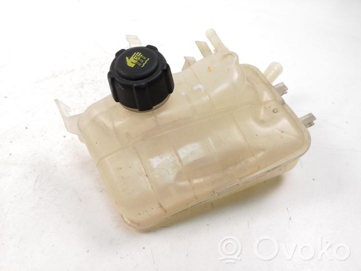 Renault Scenic III -  Grand scenic III Coolant expansion tank/reservoir cap 217100005R