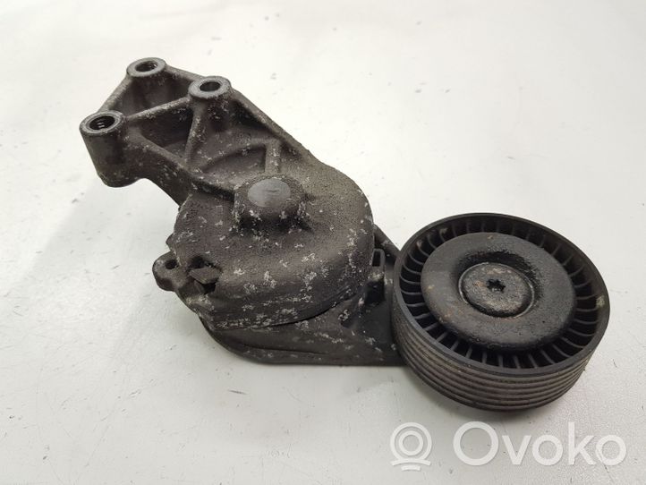 Volkswagen Sharan Tensor de la correa del alternador 038903315