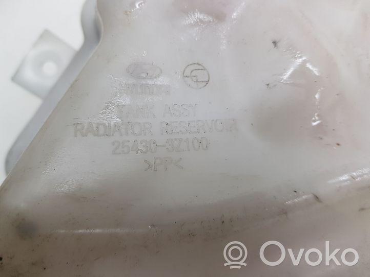 Hyundai i40 Vase d'expansion / réservoir de liquide de refroidissement 254303Z100