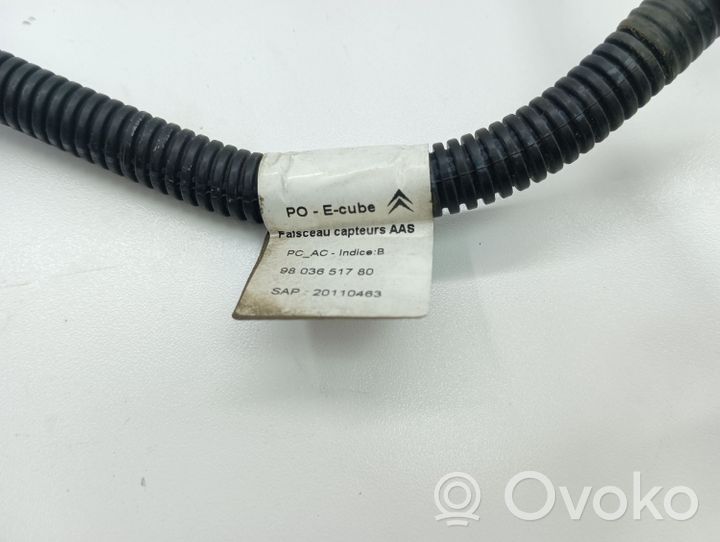 Citroen C4 Cactus Faisceau câbles PDC 9803651780