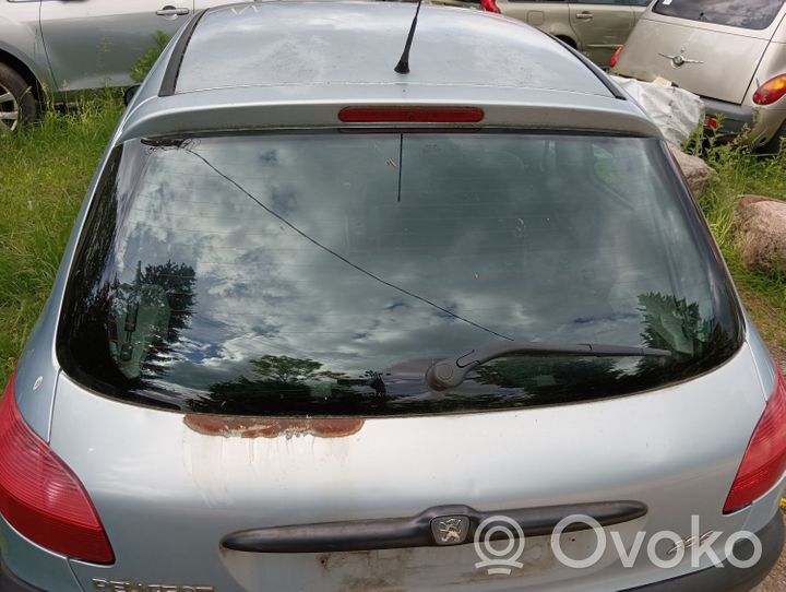 Peugeot 206 Rear windscreen/windshield window 