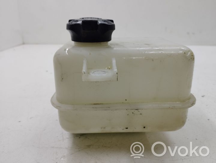 Hyundai ix35 Serbatoio di compensazione del liquido refrigerante/vaschetta 254302S000