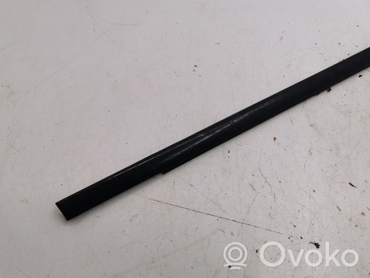 BMW X5 E53 Rear door glass trim molding 