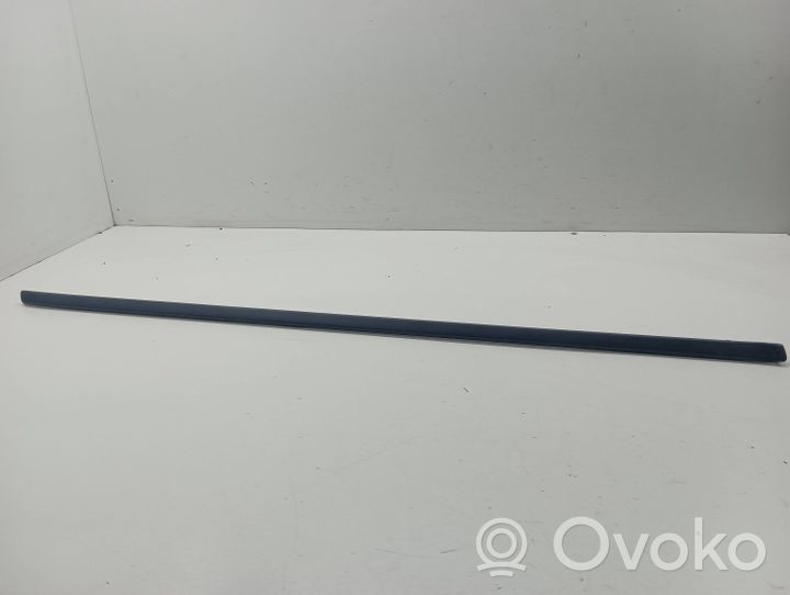 BMW X5 E70 Front door trim (molding) 