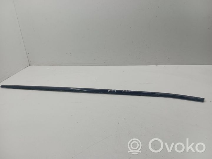 BMW X5 E70 Front door glass trim molding 