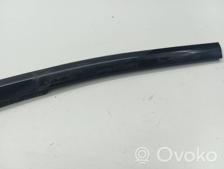 BMW X5 E70 Front door glass trim molding 