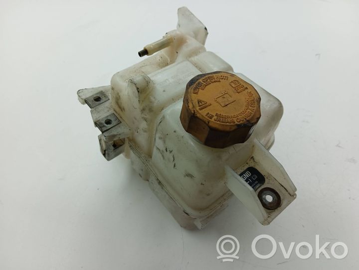 Opel Antara Serbatoio di compensazione del liquido refrigerante/vaschetta 95025829