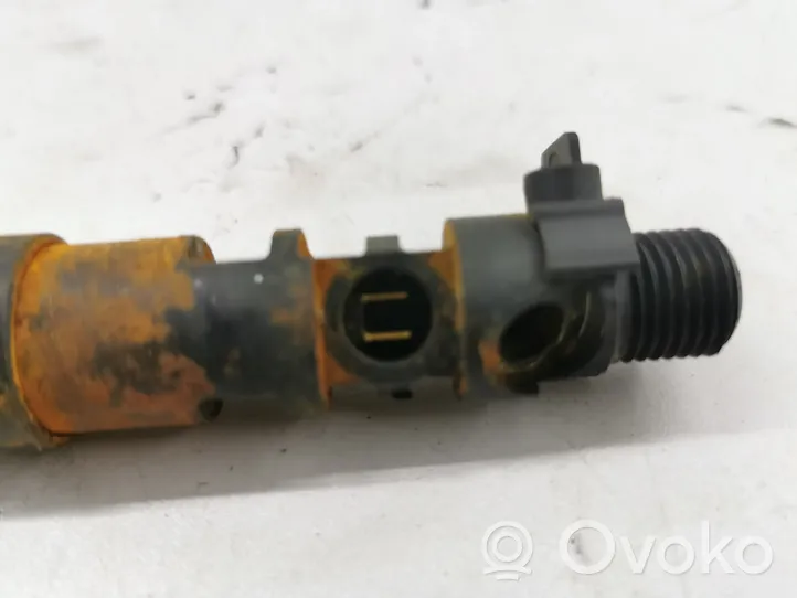 Citroen DS4 Injecteur de carburant 9686191080