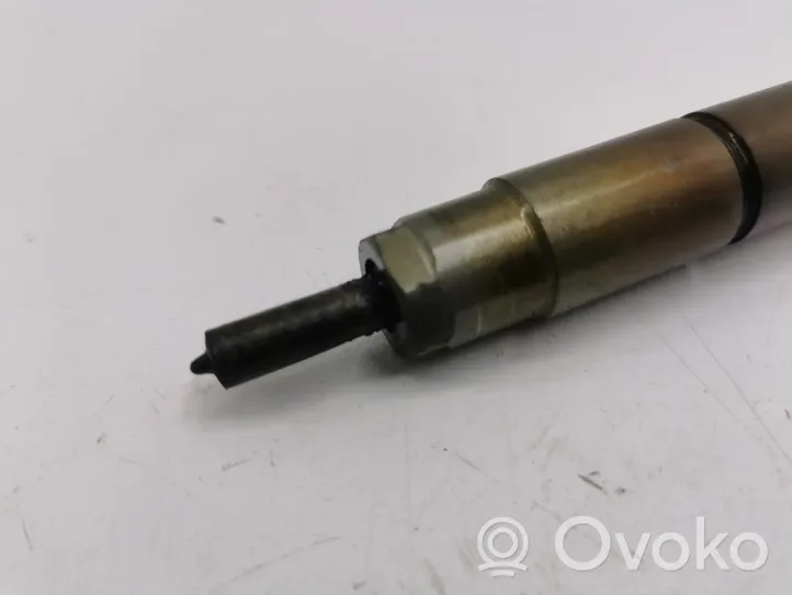 Land Rover Evoque I Fuel injector 0210DFE030