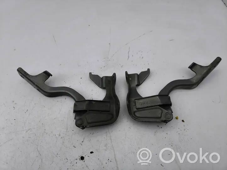 Opel Antara Engine bonnet/hood hinges 