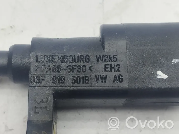 Audi A3 8Y Sonde de température de liquide de refroidissement 03F919501B