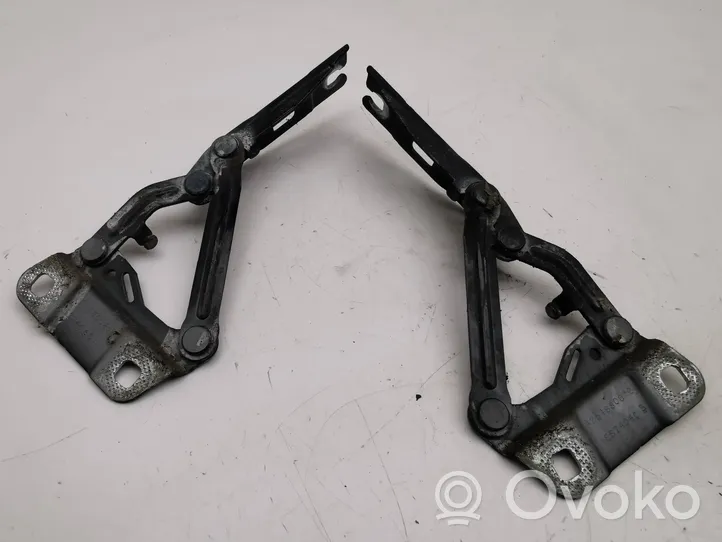 Mercedes-Benz ML W164 Cerniere del vano motore/cofano A251880028